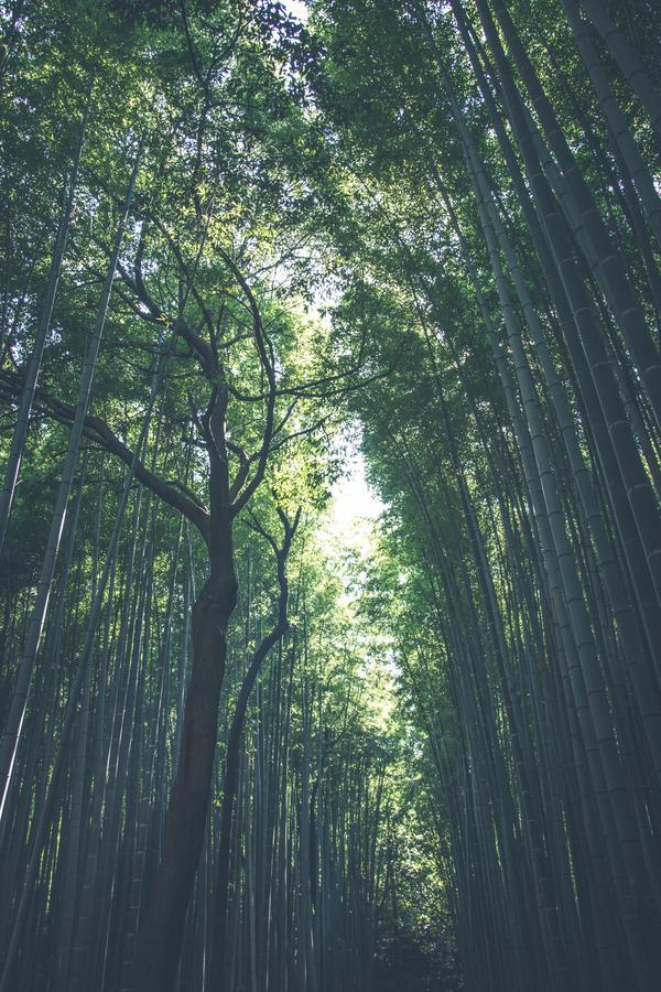 Shirakabanoyado-Taisho Villa Osaka Buitenkant foto